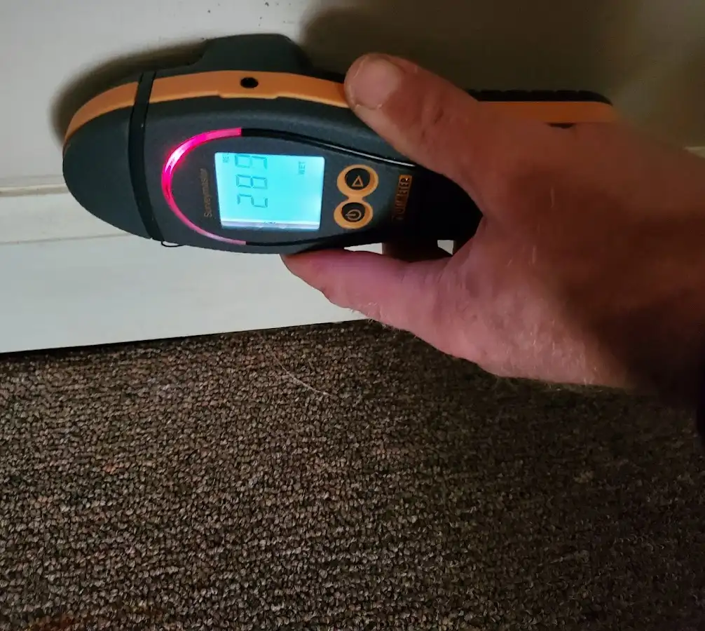 Moisture detection at baseboard during Sewage Cleanup & Sanitation in Harrisburg